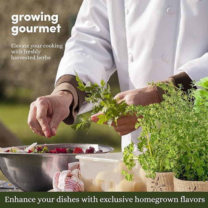 9 Herb Indoor Window Garden Kit - House Plants Seeds - Best Unique Easter Gift Ideas for Women, Mom, Friend, Her, Birthday, Housewarming, Mother - New Home Kitchen Gifts - Live Plant Starter