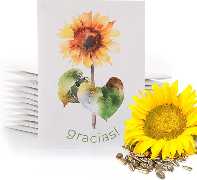 Bentley Thank You Packet - Gracias, Mammoth Sunflower - 25 Packets - Perfect Thank You Gift, Spanish - Non GMO Seeds