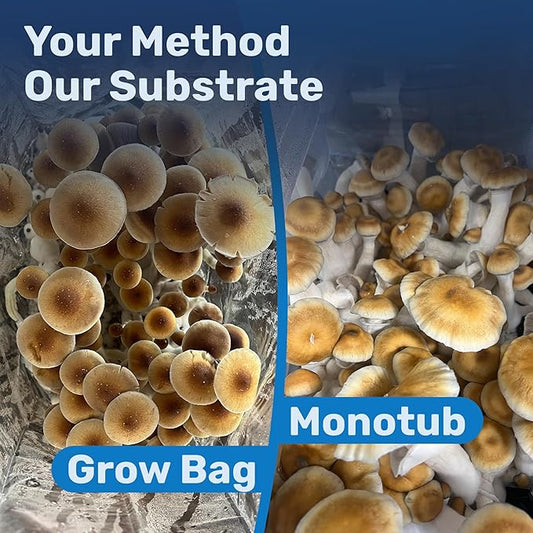 Surfin' Spores Premium Plant-Based Mushroom Substrate - 20 lbs Expert Mycologist Blend of Coco Coir, Vermiculite & Gypsum, Pasteurized & Odor-Free, Long Shelf-Life, Ideal for Monotub Cultivation