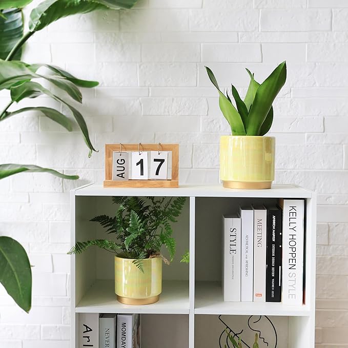 Gepege Indoor Pots for Plants, Ceramic Planter with Drainage Hole, 6.0 inch+5.0 Inch+4.0 Inch. Succulent Orchid Flower Pot - Rainbow Pearl Glaze