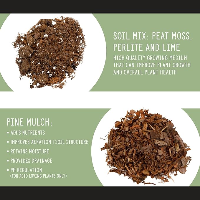 Monstera Houseplant Potting Soil Mix (4 Quarts), Custom Blend for Growing and Repotting