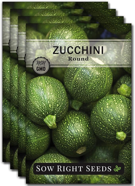 Sow Right Seeds - Round Zucchini Seed for Planting - Non-GMO Heirloom Packet with Instructions to Plant a Home Vegetable Garden - Unique Globe Squash - Summer Vining Variety (4)