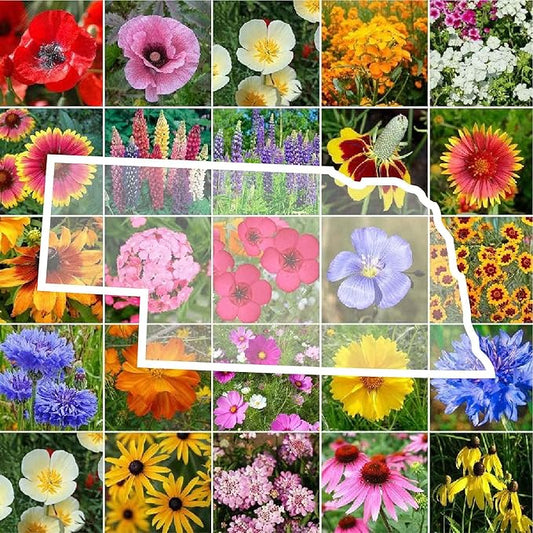 Eden Brothers Nebraska Wildflower Mixed Seeds for Planting, 1 oz, 30,000+ Seeds with Candytuft, Blanket Flower | Attracts Pollinators, Plant in Spring or Fall, Zones