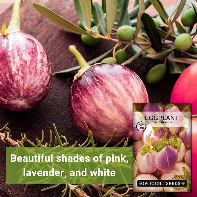 Sow Right Seeds - Rosa Bianca Eggplant Seed for Planting - Productive Variety Prized by Chefs - Non-GMO Heirloom Packet with Instructions to Plant an Outdoor Home Vegetable Garden - Pink and White (1)