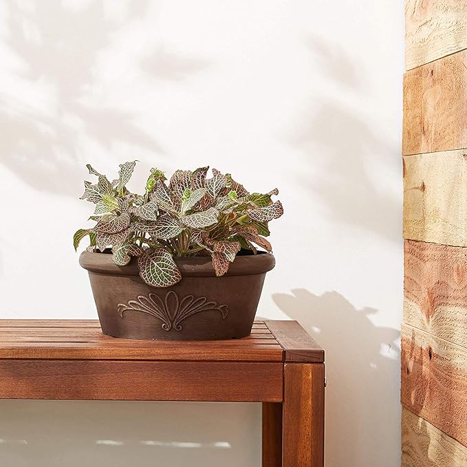 PSW Pot TA20C Collection Shallow Bulb Pan Planter Dish Low Bowl for Succulents, Bonsai, Fairy Gardens, Herbs, 8-inch, Chocolate.