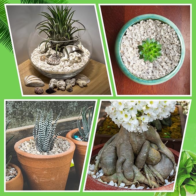 Halatool 8QT Perlite 3-6mm Organic Perlite for Gardening Plants Indoor Natural Potting Soil Mix Additive for Holding Moisture Aeration Drainage