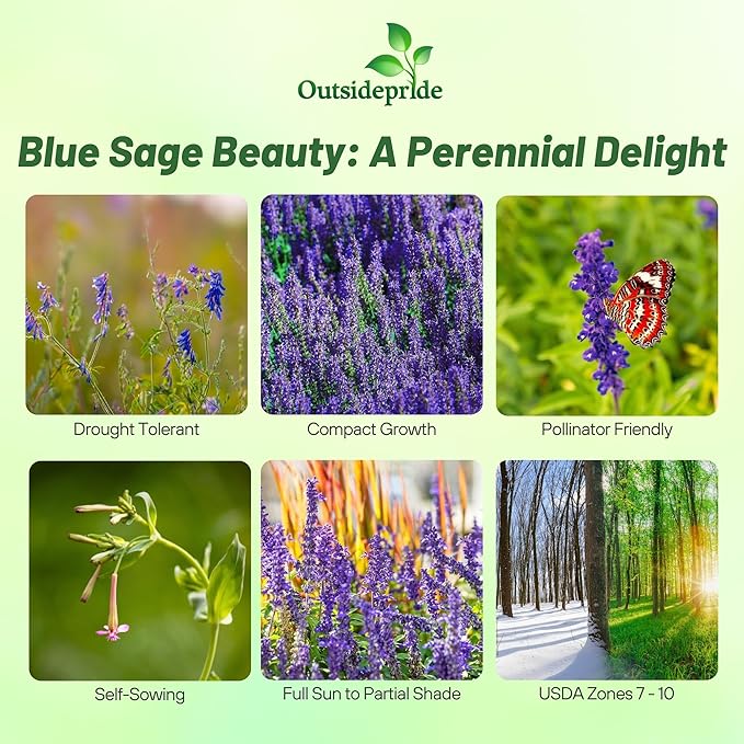 Outsidepride Blue Sage Seeds - 5000 Pcs Perennial, Drought-Tolerant & Deer-Resistant Wildflower Seeds w/Fragrant Blooms for Pollinator Attractant for Butterfly & Hummingbird Gardens & Landscaping