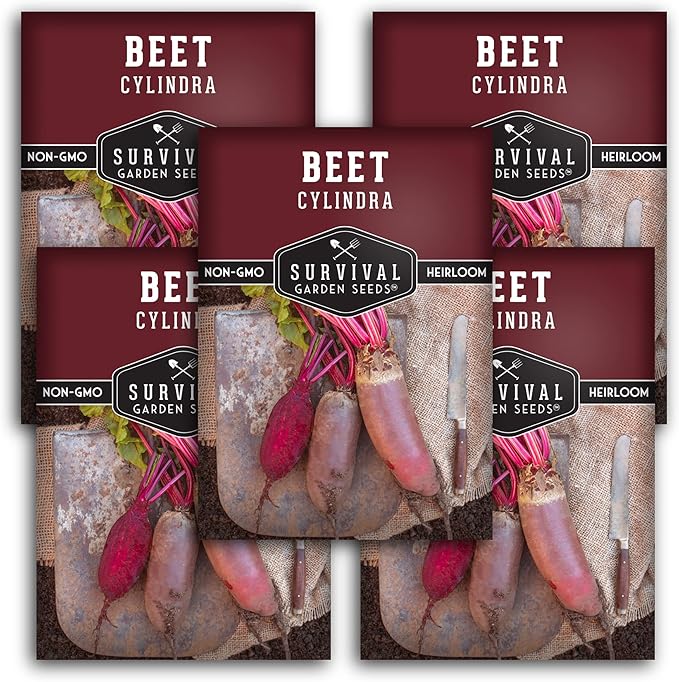Survival Garden Seeds - Cylindra Beet Seed for Planting - 5 Packs with Instructions to Plant and Grow Dark Red Beets in Your Home Vegetable Garden - Non-GMO Heirloom Variety - Vegetable Seed