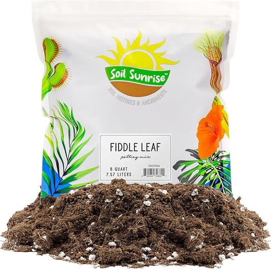 Premium Fiddle Leaf Fig Tree Soil (8 Quarts) - Expert Formula for Vibrant Growth - Nutrient-Rich Potting Mix, Specifically Designed for Healthy Indoor, Outdoor, and Potted Fiddle Fig Plants