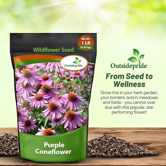 Outsidepride 1 lb. Perennial Echinacea Purple Coneflower Wild Flowers Seeds for Planting