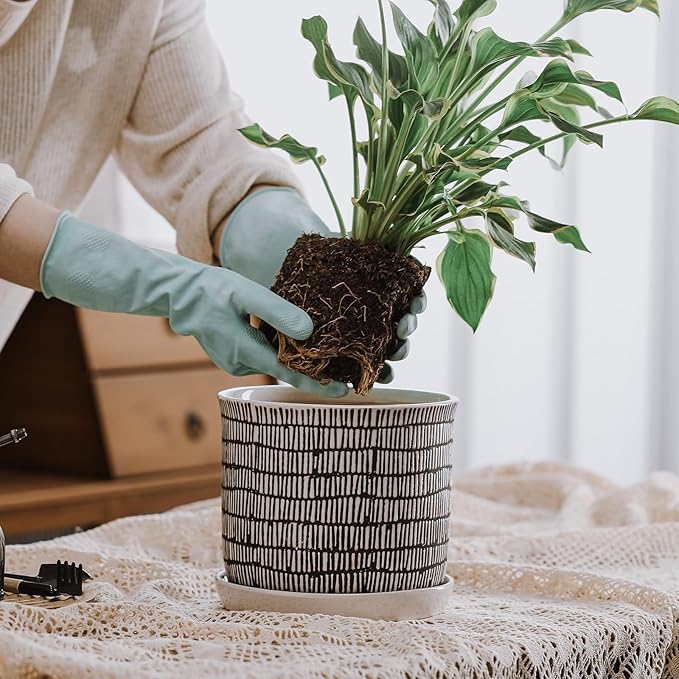 8 Inch Plant Pot: Ceramic Planter with Drainage Hole & Saucer for Indoor Outdoor Plants - Flowerpot with Bonded Tray for Home Office - Mixed Stripe Debossed