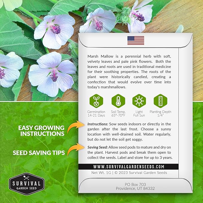 Marsh Mallow Seed for Planting - 2 Packets with Instructions to Plant and Grow Rare Medicinal Flowering Herbs in Your Home Vegetable Garden - Non-GMO Heirloom Variety - Survival Garden Seeds