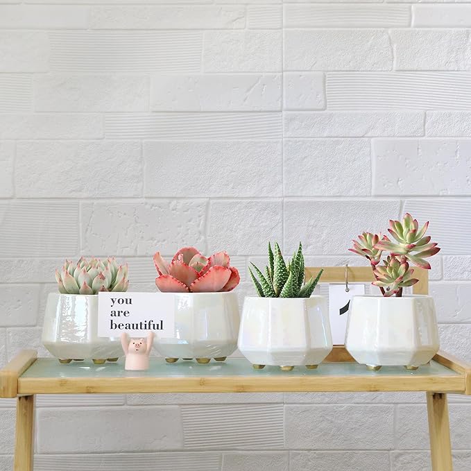 4 Inch Succulent Planter Ceramic Pot for Indoor Plants - Flower Pots with Drainage Hole - Set of 4