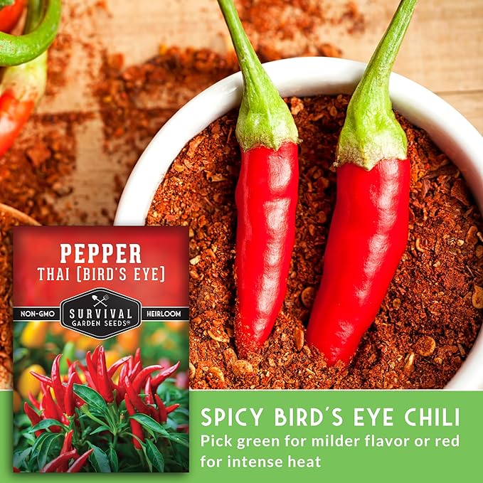 Survival Garden Seeds - Thai Pepper Seed for Planting - 3 Packets with Instructions to Plant & Grow Spicy Hot Bird's Eye Chili Peppers in Your Home Vegetable Garden - Non-GMO Heirloom Variety