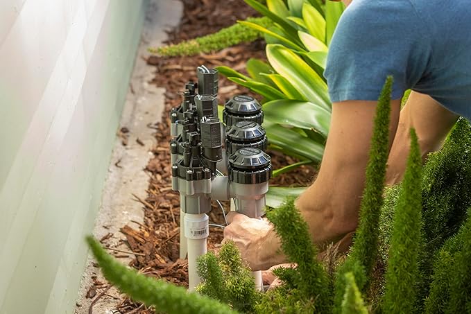 Rain Bird DASASVF075 Professional Grade Anti-Siphon Valve with Flow Control, 3/4" Threaded Female x Female