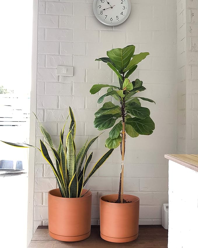 D'vine Dev Terracotta Pots for Plants, 7.8 Inch 9.6 Inch 12 Inch, Round Cylinder Planter Pot with Drainage and Saucer, 40-T-D-0