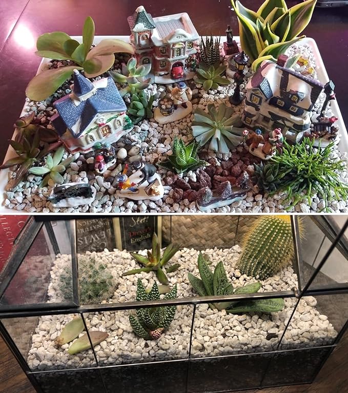 Voulosimi Garden Pumice Rock Horticultural Cactus Bonsai Succulent Soil Additive for Plants, Landscaping, Vase Fillers (1/2 inch, 10 LB)