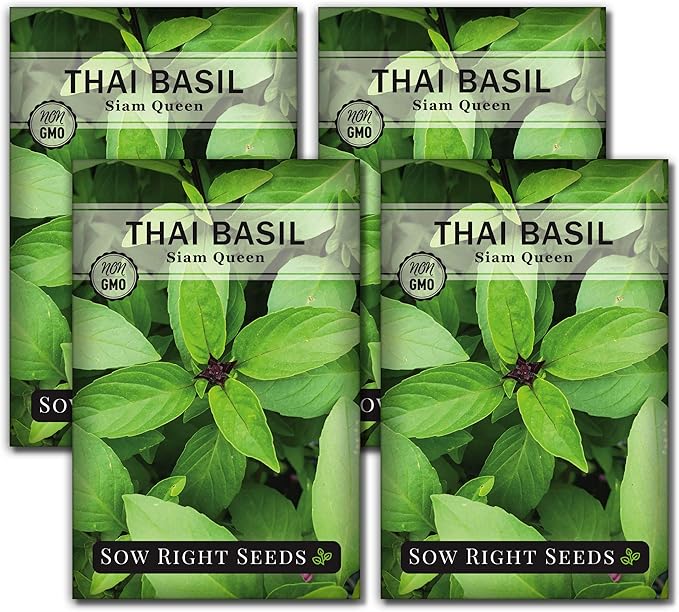 Sow Right Seeds - Sweet Large Leaf Thai Basil Seed for Planting - Non-GMO Heirloom Packet with Instructions to Plant a Kitchen Herb Garden - Indoors or Outdoor - Great for Hydroponic Growing (4)