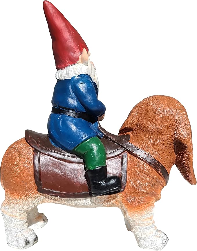 Funny Guy Mugs Gnome Riding A Basset Hound - Funny Garden Gnomes Gifts for Women - Garden Gnomes for Outdoors - Gifts for Dog Lovers - Indoor/Outdoor Garden Gnome Sculpture for Patio, Yard or Lawn