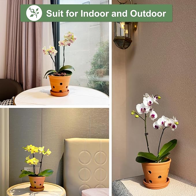 6 inch Terracotta Orchid Pots with Holes and Saucers, 3 Pack Clay Orchid Planter Pots for Repotting, Small Terra Cotta Orchid Pot, Plant Flower Pots for Orchid Indoor Outdoor Promotes Air Circulation