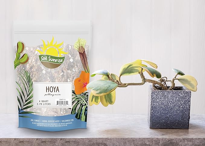 Hoya Plant Potting Soil Mix (4 Quarts), Custom Blend for Growing Hoya Tropical Houseplants