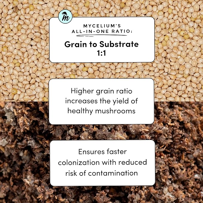 Mycelium Gourmet Mushroom All-in-One Bag - Premium Organic 10 LB Blend of Alder & Soy Hull Substrate with Sterilized Millet Grain - Perfect for Wood-Loving Mushrooms - Home Growing Made Easy