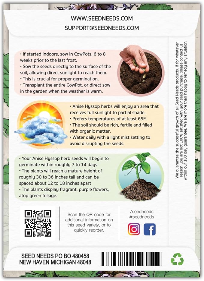 Seed Needs Anise Hyssop Seeds for Planting - Non-GMO, Heirloom & Untreated - Organically Grow a Medicinal/Culinary Herb Garden for Tea & Essential Oils (1 Pack)
