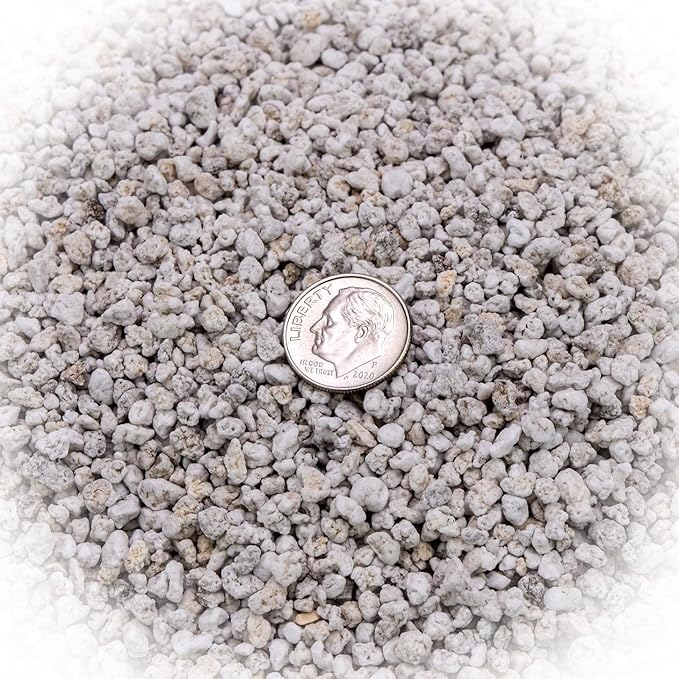 Organic Perlite — Medium/Fine Grade (5qt) Horticultural Soil Amendment for Indoor & Outdoor Container Plants for Drainage Management and Enhanced Growth
