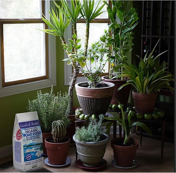 Coast of Maine (4lb) Stonington Blend Organic Plant Food with Lobster, Kelp and Worm Castings - OMRI Listed