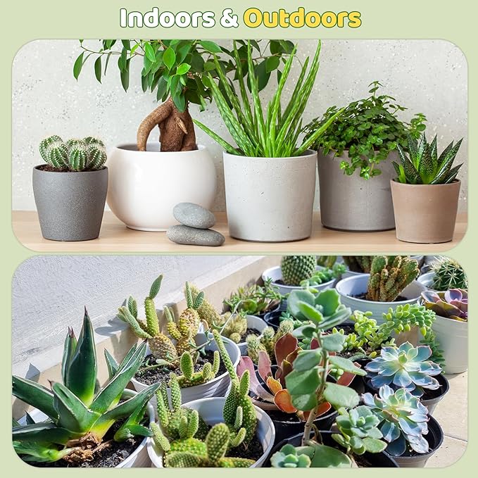 Cactus and Succulent Soil Potting Mix 2qt, Well Draining Chunky Soil Mix for Indoor Plants, Gritty Soil for Healthy Indoor Plants - Spike & Bloom