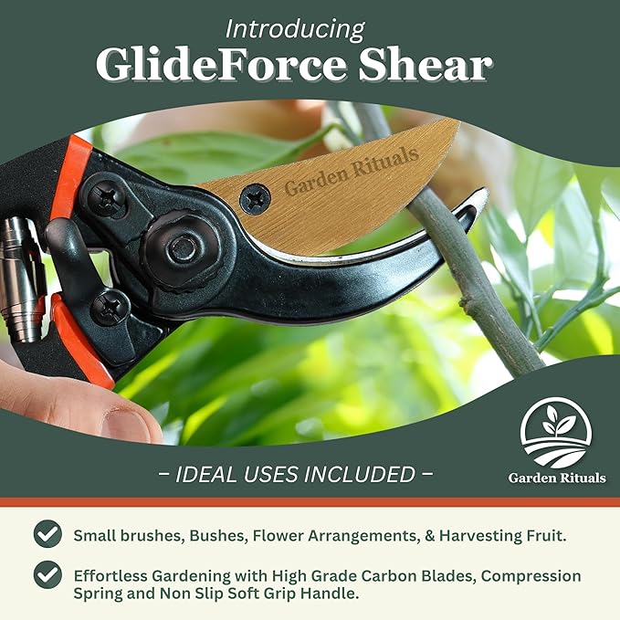 Heavy Duty Pruning Shears for Gardening | High-Grade Titanium Steel Blade Shears for Indoor Plants & Roses with Saftey Lock | Versatile Bypass Pruning Shears for Small & Large Plants