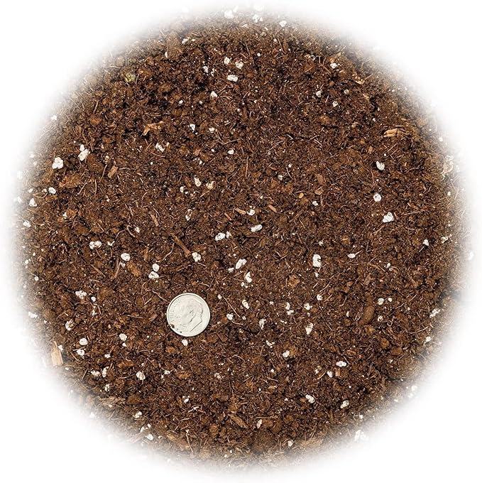 Premium Dracaena Soil Mix - 3 Quart - Expertly Formulated Potting Mix for Thriving Dracaena Trees and Shrubs