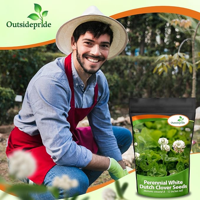 Outsidepride Perennial White Dutch Clover Seed - 1/4 lbs. Nitrocoated, Inoculated Clover Seeds for Lawn Alternative, Erosion Control, Food Plots, Ground Cover, & Pasture Mixtures in USDA Zones 3-10