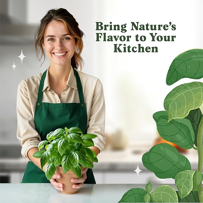 Organic Basil Herb Seeds for Indoor Gardening or Planting Outdoors, Non-GMO and USDA Certified Herb Seed Packets, 250 Seeds/1 gram (Genovese Basil)