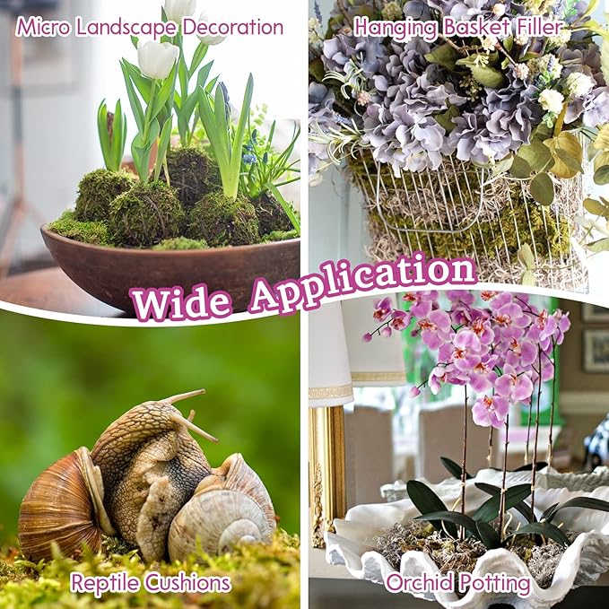 Riare 2.2 LBS Premium Sphagnum Moss for Plants- Natural Long Fibered Sphagnum Peat Moss Plants Moss Dried, Carnivorous Plants Moss Orchid Potting Mix for Orchids,Carnivorous Plants,Succulent(40QT)