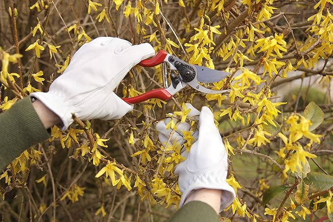 Spear & Jackson 6459BS Razorsharp Left-Handed Bypass Pruners