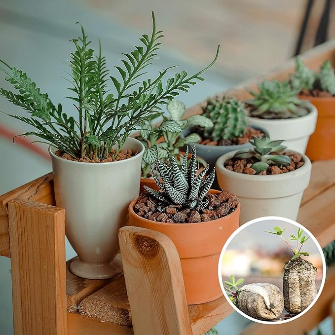 ZeeDix 50pcs 50mm Peat Pellets, Compressed Seed Starter Soil Peat Plugs Peat Pods Seed Starter Potting Soil Peat Moss Pellets Seed Pods for Planting Flowers Herbs and Vegetables