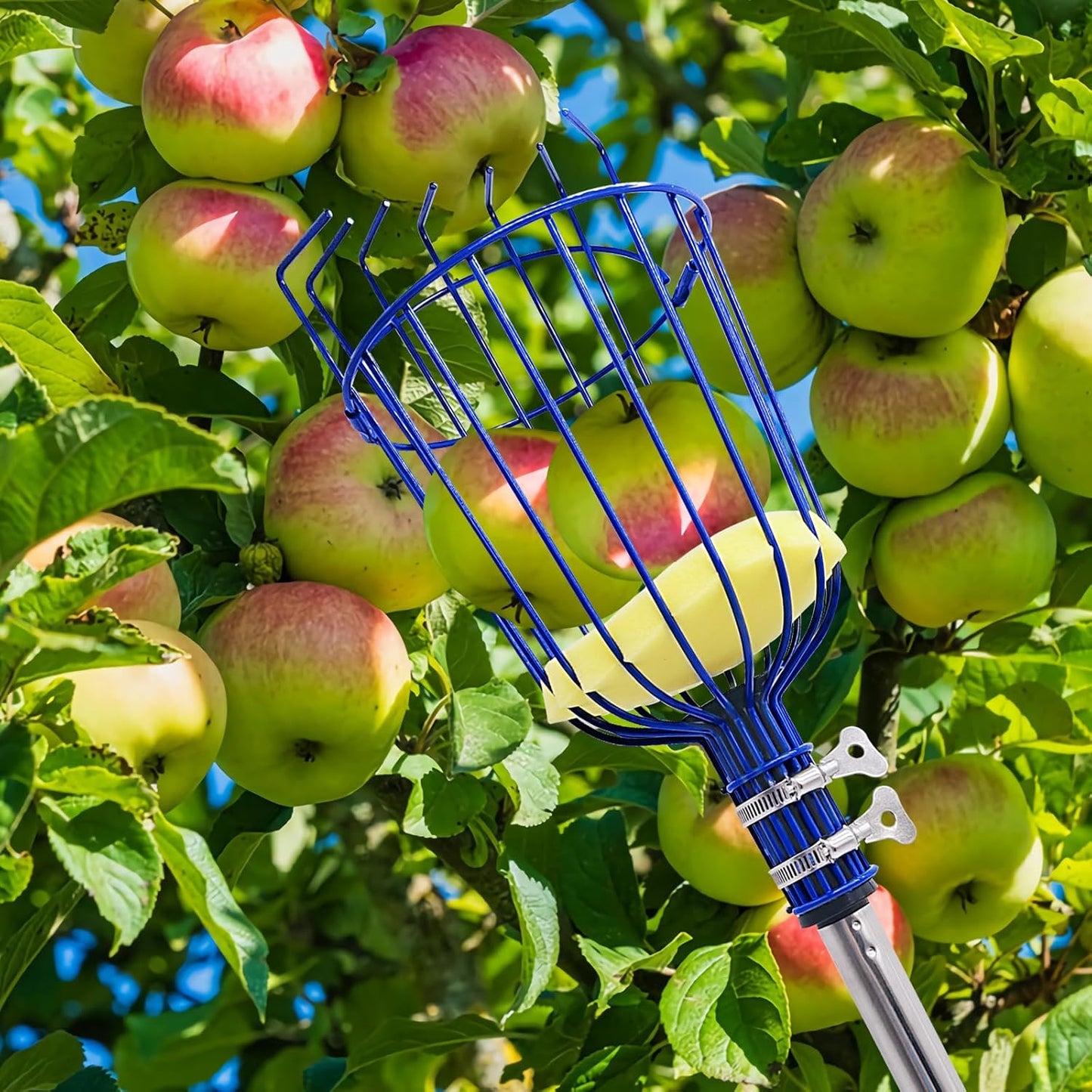 Fruit Picker Tool with Basket & Foam Pad, 35-72 Inch Adjustable Stainless Steel Picking Pole - for Harvesting Lemon Avocado Apple Mango Pear Orange & Tall Tree Fruits