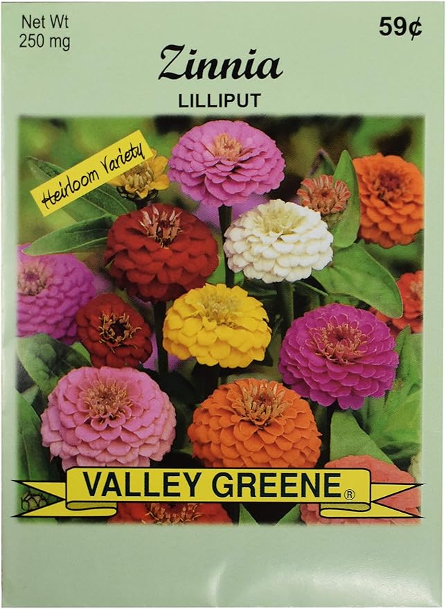 Black Duck Brand Set of Zinnia Lilliput Flower Seed Packets! Flower Seeds in Bulk - Great for Creating The Garden of Your Dreams! (25, Zinnia - Lilliput)