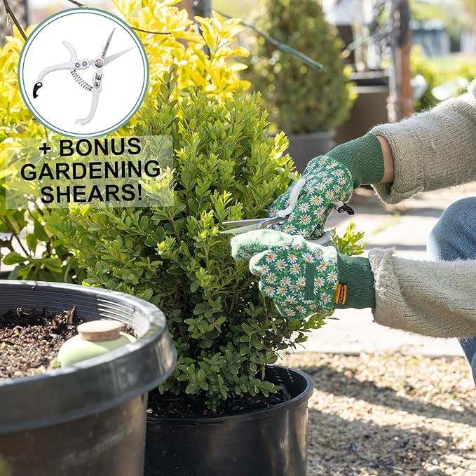 Plant Watering Globes - Olla Terracotta Watering Spikes - Hold 16 Ounces - Olla Water System for Plants - Self Water Method - Slow Releaese Drip Irrigation Terracotta Stakes