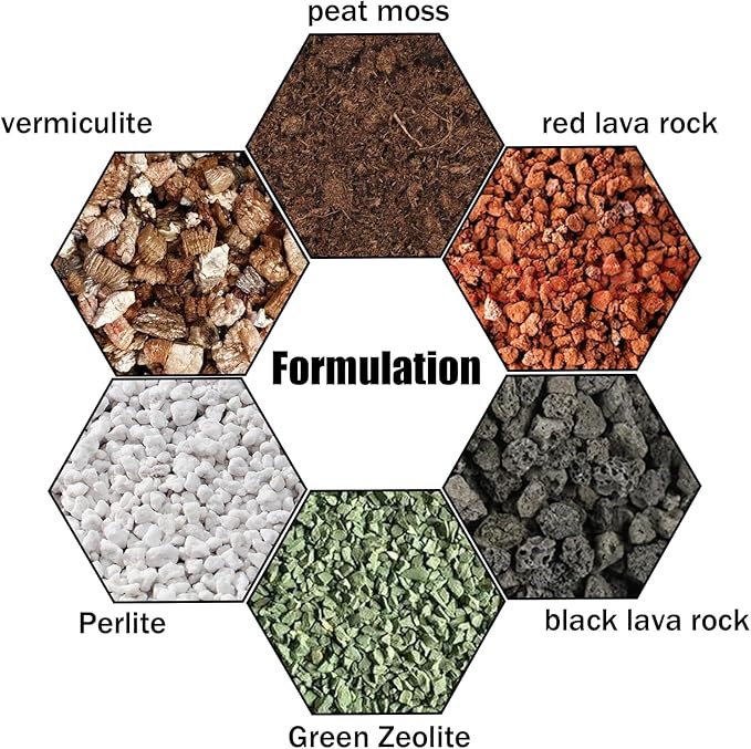 Succulent & Cactus Soil Potting Mix 2qt, Pre-Mixed Ready to Use with Fast Draining Fits for Bonsai, Terrarium and Houseplant