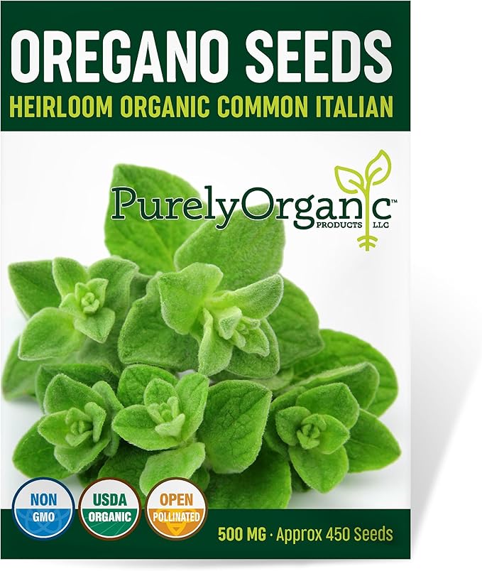 Organic Common Italian Oregano Seeds - USDA Organic, Non-GMO, Open Pollinated, Heirloom (1 Packet - 500 MG - Approx 450 Seeds)