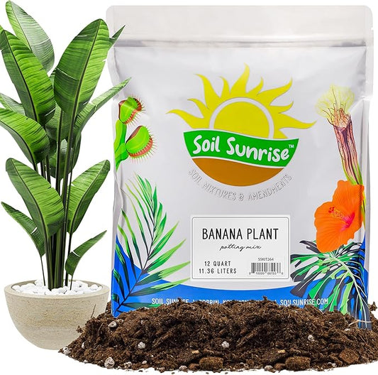 Banana Tree Potting Soil Mix (12 Quarts), Hand Blended Mixture for Banana Plants