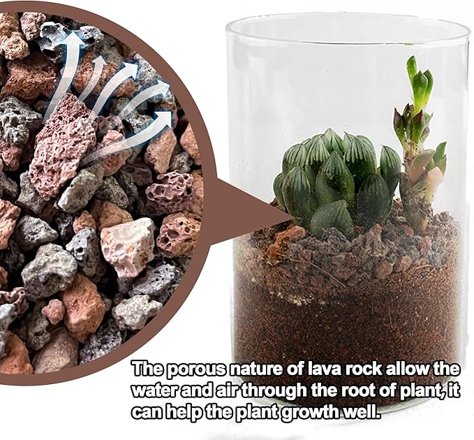 3lb Mix Lava Rocks for Plants-Horticultural Volcanic Rock Gravel for Landscaping Plants Drainage, Succulents, Bonsai, Vase Fillers, Terrarium Plants, Top Dressing