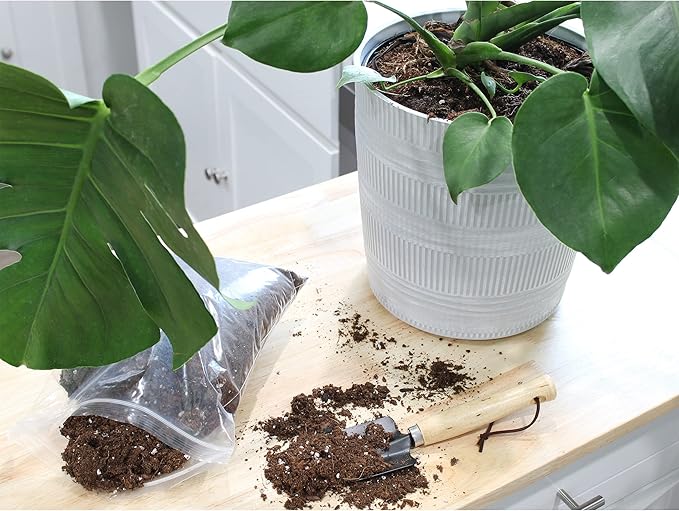 Monstera Houseplant Potting Soil Mix (8 Quarts), Custom Blend for Growing and Repotting
