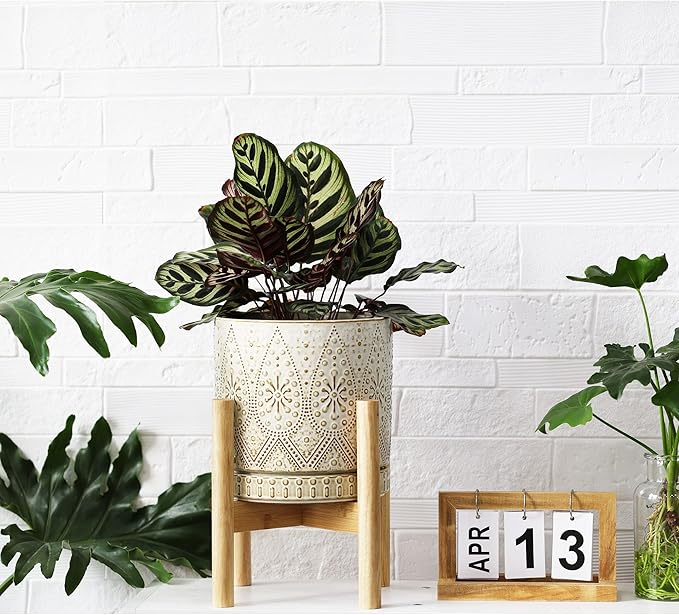 8 Inch Plant Pot with Stand, Ceramic Planter with Drainage Holes, Saucers and Mesh Pads for Indoor-Outdoor Plants