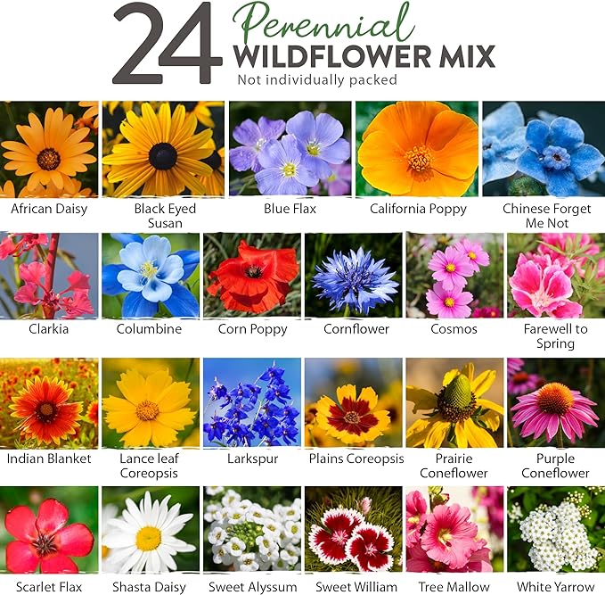 HOME GROWN Wildflower Seeds - 2oz Bulk Perennial Wild Flower Seeds Mix - Flower Garden Seeds for Attracting Bees, Birds & Butterflies - 24 Variety Plant Seeds for Planting Outdoor Garden