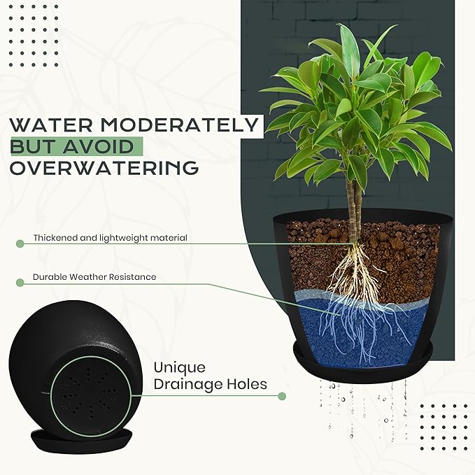 Utopia Home - Plant Pots Indoor with Drainage - 7/6.6/6/5.3/4.8 Inches Home Decor Flower Pots for Indoor Planter - Pack of 10 Plastic Planters for Indoor Plants, Cactus, Succulents Pot - Black