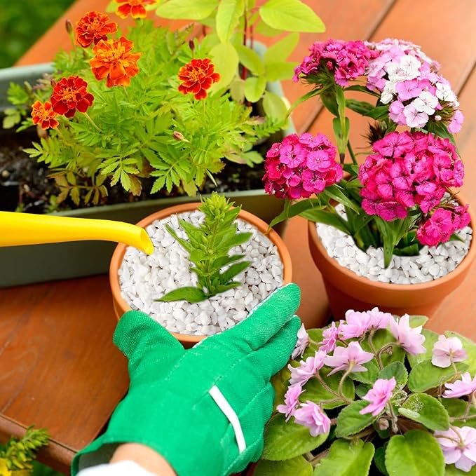 Halatool 15 QT Perlite 3-6 mm Horticultural Organic Perlite Bulk for Plants Natural Potting Soil Mix Additive for Indoor & Outdoor Planting