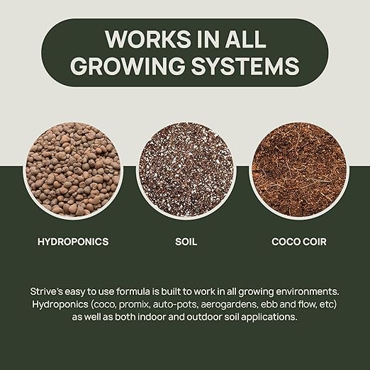 Strive Fertilizer Part B Package - Veg + Bloom General Hydroponic Nutrients - Premium Indoor, Outdoor and Soil Growing Plant Food - Enhancer - Booster for Vegetables, Succulents, Flowers & More